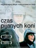 醉马时刻/A Time for Drunken Horses(2000)