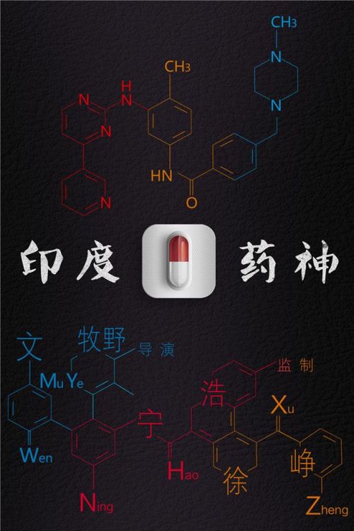 《印度药神》3.15开机 宁浩徐峥黄金搭档再聚首