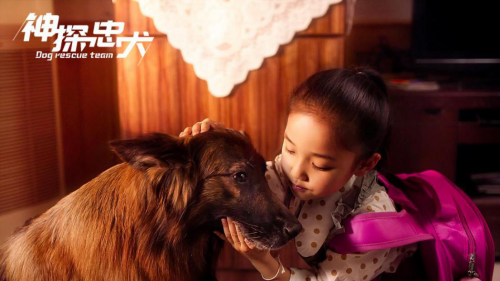 图片7