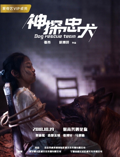 图片9