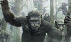 好莱坞进口大片《猩球崛起2》首日票房获9300万