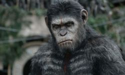 《猩球崛起：黎明之战》票房将破7亿元  29日下线