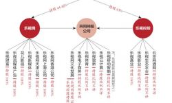 乐视网遭遇商业模式软肋  如何达到生态协同挽救悲剧？