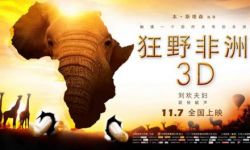法国3D纪录片电影《狂野非洲》票房不佳  市场缘何如此？