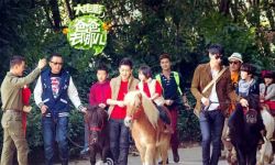 2014年的中国电影圈，都发生了些什么？
