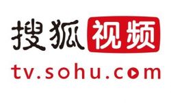 搜狐视频2014年营收1.76亿美元