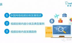 2015年中国网络视频自制市场专题研究报告
