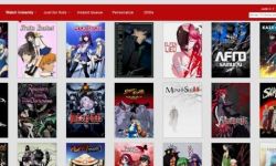 Netflix进入日本市场后，想靠自己做动画片吸引观众
