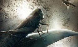 《三体》曝“虫子”版海报 巧妙呈现原著世界观