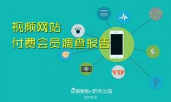 中国视频网站付费会员调查报告  按月购买成习惯