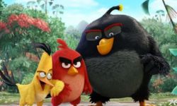 动画电影《愤怒的小鸟》续集启动  游戏开放商Rovio确认