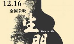 “聪明绝顶三剑客”为中国电影找《生门》