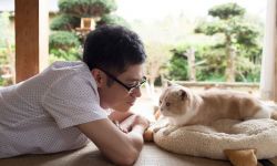 电影《猫咪后院之家》将于4月8日在日本上映