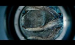 《异星觉醒》再度曝光精选剧照 揭秘外星生物狰狞面目