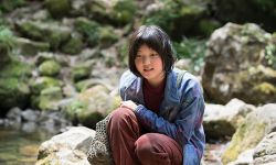 做没人做的电影正是Netflix的另辟蹊径