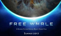 《Free Whale》制作人专访：做VR，一直都感觉很孤独