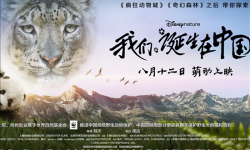 “中国电影展2017”在香港文化中心拉开帷幕