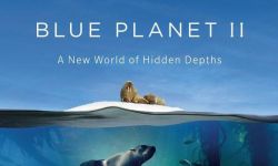 BBC口碑续作《蓝色星球2》首爆预告 高清海洋奇景震撼眼球