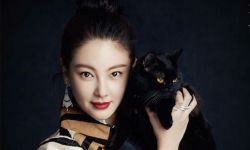 《妖猫传》曝黄轩张榕容张雨绮吸猫大片