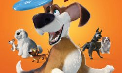 戈雅提名片《狗狗的疯狂假期》确定引进 暖心忠犬大冒险
