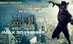 《黑豹》创IMAX中国三月首周末票房纪录 成绩亮眼