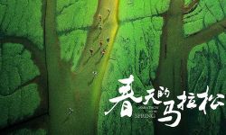 电影《春天的马拉松》：浙江取材上海主创  讴歌改革开放