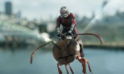 电影《蚁人2：黄蜂女现身》发布IMAX主创特辑