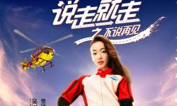 电影《说走就走之不说再见》曝五大角色海报