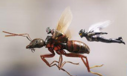 电影《蚁人2·黄蜂女现身》票房飙升的同时收获良好口碑