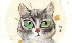土耳其纪录片《爱猫之城》海报曝光 定档9.22