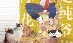 《爱猫之城》中秋档上映 海报萌力值再翻倍 破次元壁 