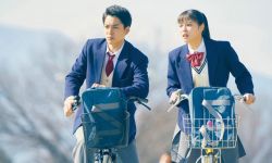 《旅猫日记》发布新剧照 福士苍汰出演高中生
