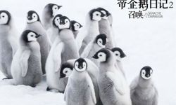 纪录片《帝企鹅日记2》内地确定公映