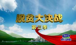 “小李子”挑起大产业——河南卫视《脱贫大决战》第三季今晚开播