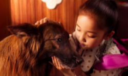 电影《神探忠犬》 ：公益电影这条路