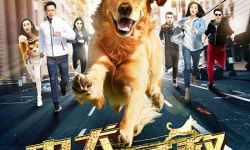 《忠犬大营救》11.23上映 狗狗题材聚焦社会热点