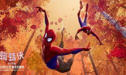 《蜘蛛侠：平行宇宙》全平台9分开画 创超强战绩
