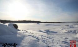 电影《沉默的雪》今日全国公映 引爆根河市