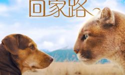 《一条狗的回家路》曝“猫狗”海报