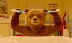 英国《帕丁顿熊》将拍动画剧集