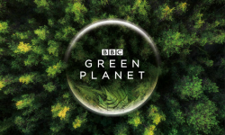 BBC官宣五大巨制 自然历史类头部内容排期至2022年