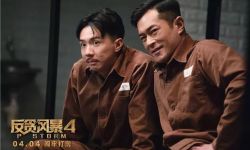 清明档6.95亿票房创历史最佳，《反贪4》夺冠