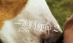 治愈佳作《一条狗的使命2》曝预告，定档5.17同步北美上映