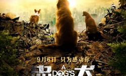 电影《忠犬流浪记》发布定档预告 9月6日温情上映