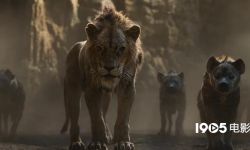 新版《狮子王》：动物太真实，感觉面瘫？