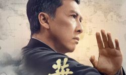 又不改了！《叶问4》官宣仍在12月20日公映