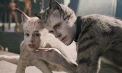 票房口碑扑街 《猫》撤掉奥斯卡宣传