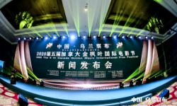 中国·乌兰察布加拿大金枫叶国际电影节火热征片中