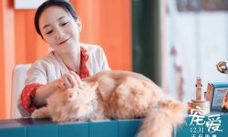 电影《宠爱》今日上映 李倩戏里戏外撸狗不停