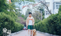为了演好电影《宠爱》,吴磊亲身体验盲人生活,导盲犬为其指引
